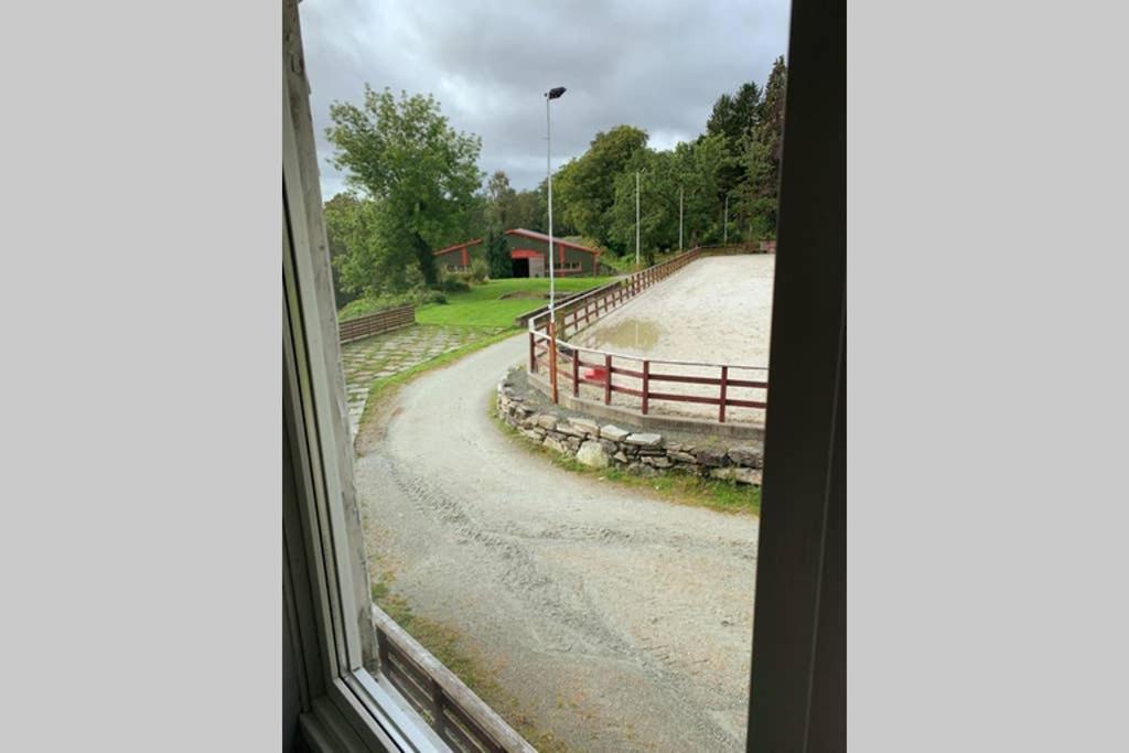 Moldegaard Riding Lodge Moldegard エクステリア 写真
