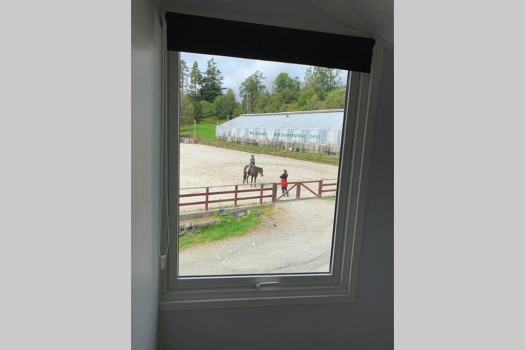 Moldegaard Riding Lodge Moldegard エクステリア 写真