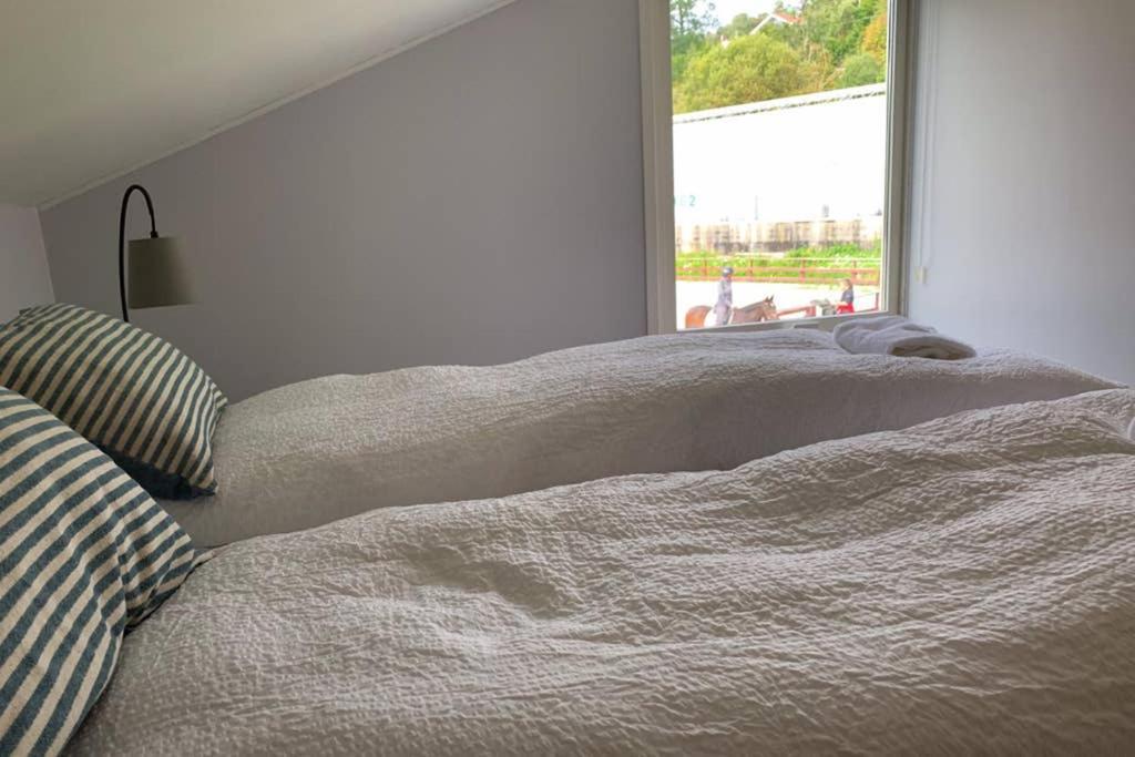 Moldegaard Riding Lodge Moldegard エクステリア 写真